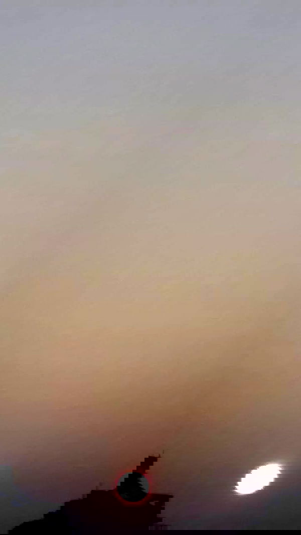 noa_zemlyanski noa_zemlyanski archive image