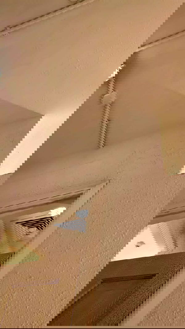 noa_zemlyanski noa_zemlyanski archive image