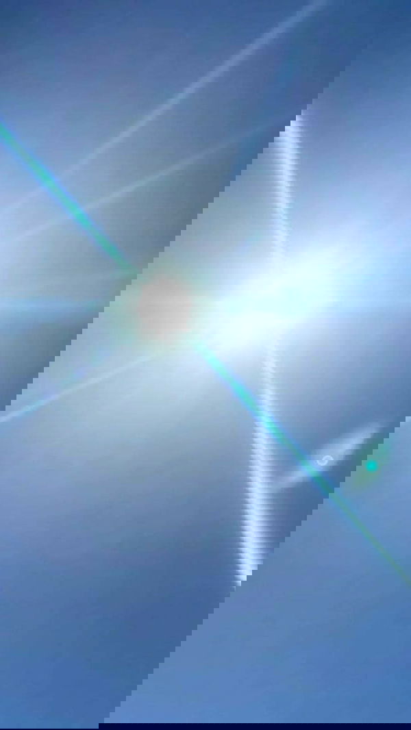 noa_zemlyanski noa_zemlyanski archive image