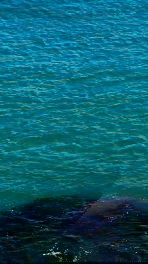 noa_zemlyanski noa_zemlyanski archive image