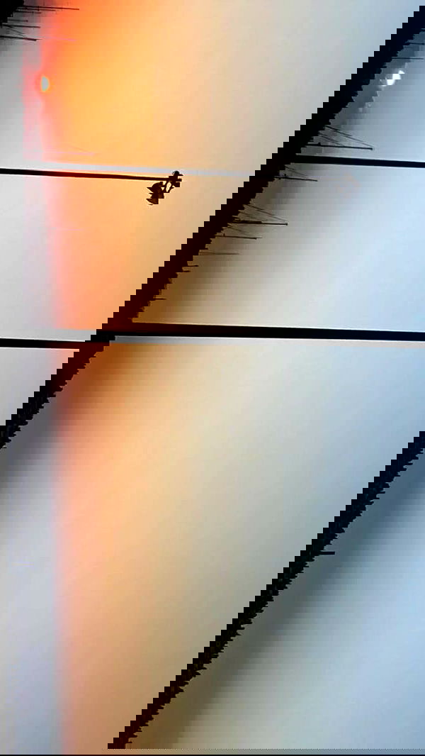 noa_zemlyanski noa_zemlyanski archive image