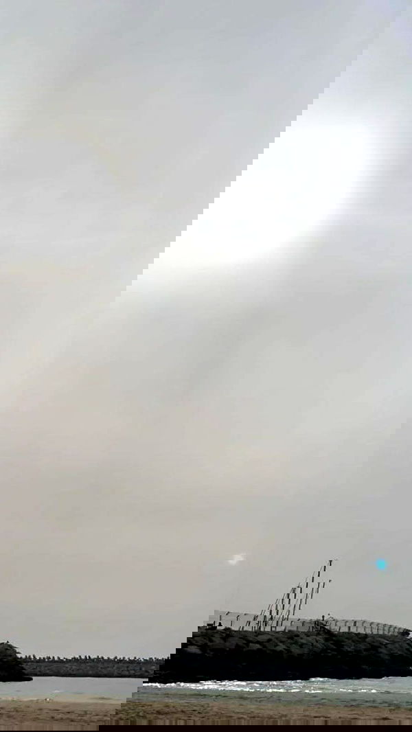 noa_zemlyanski noa_zemlyanski archive image