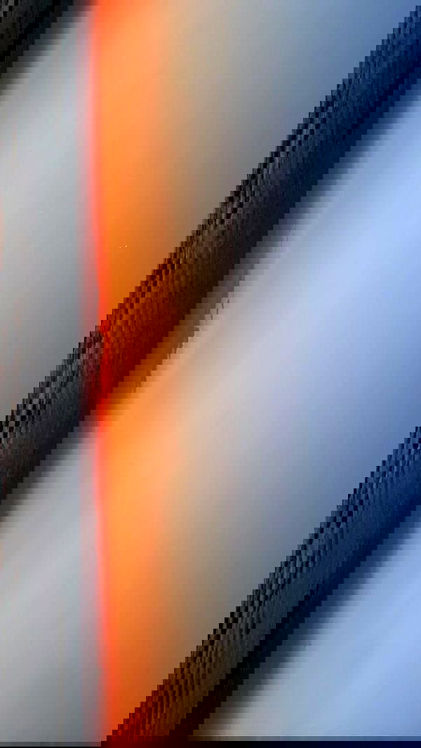 noa_zemlyanski noa_zemlyanski archive image