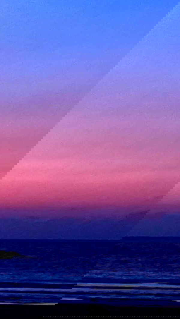 noa_zemlyanski noa_zemlyanski archive image