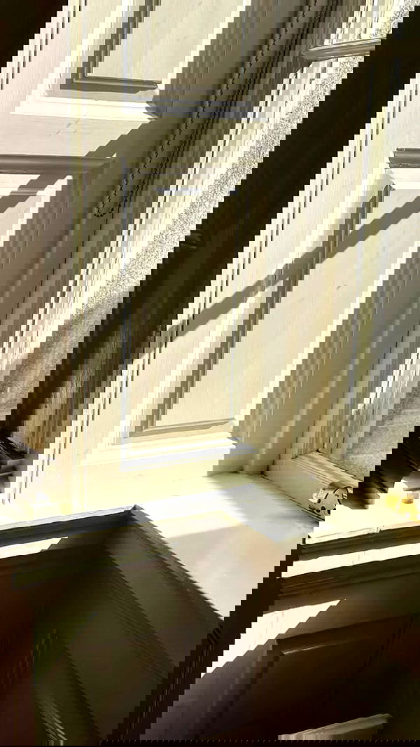 noa_zemlyanski noa_zemlyanski archive image