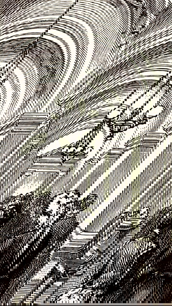 noa_zemlyanski noa_zemlyanski archive image