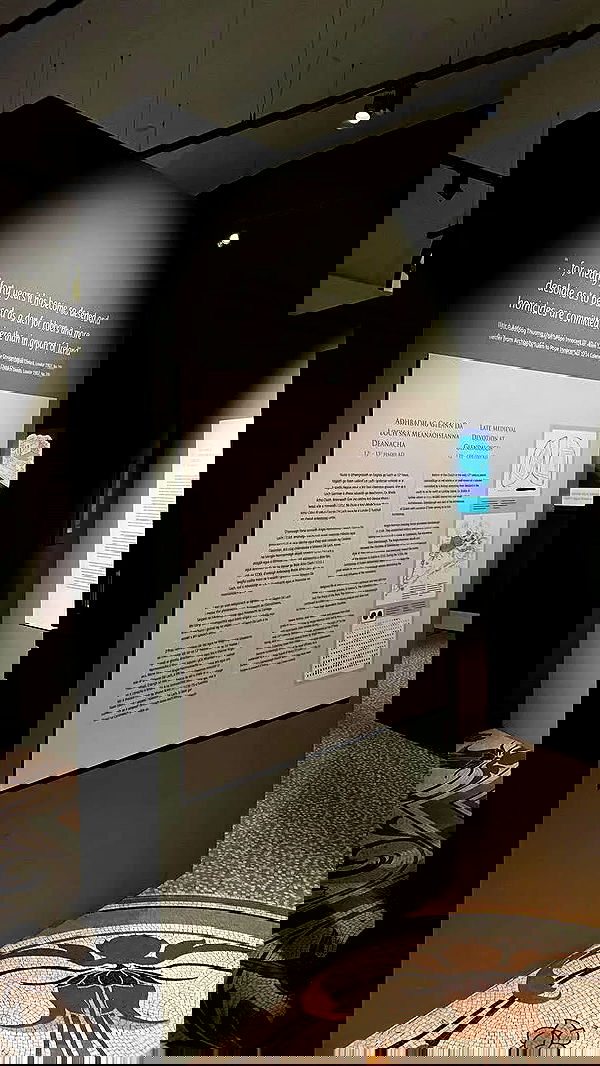 noa_zemlyanski noa_zemlyanski archive image