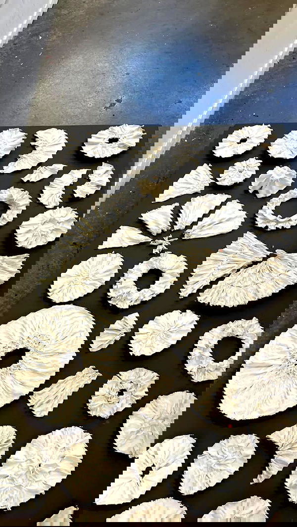 noa_zemlyanski noa_zemlyanski archive image