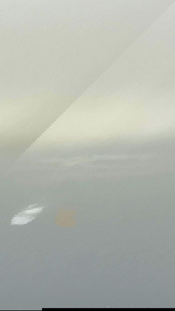 noa_zemlyanski noa_zemlyanski archive image