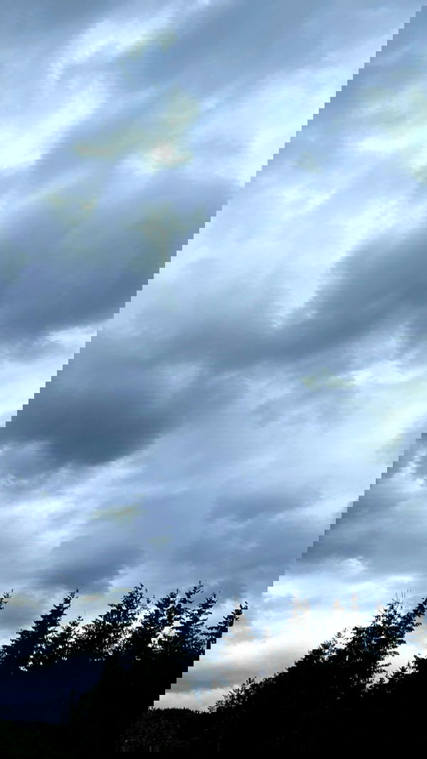 noa_zemlyanski noa_zemlyanski archive image