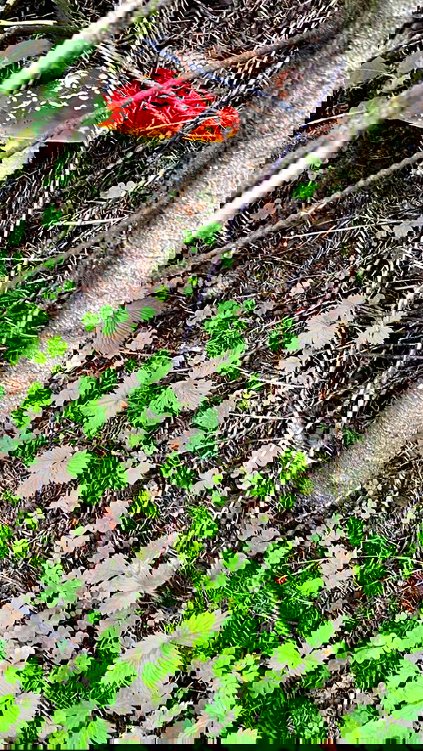 noa_zemlyanski noa_zemlyanski archive image