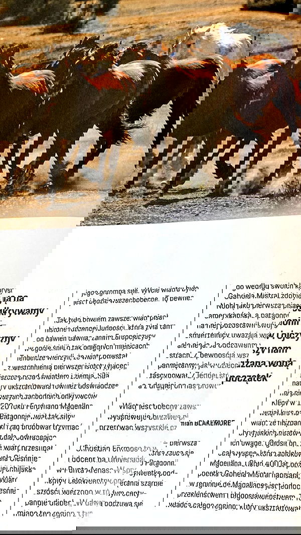 noa_zemlyanski noa_zemlyanski archive image