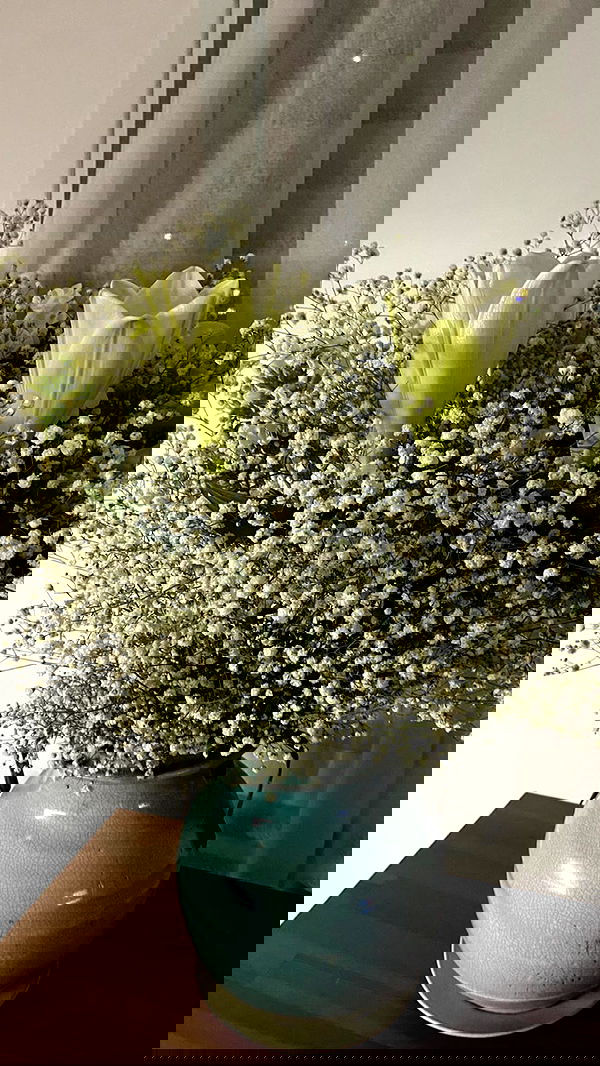 noa_zemlyanski noa_zemlyanski archive image