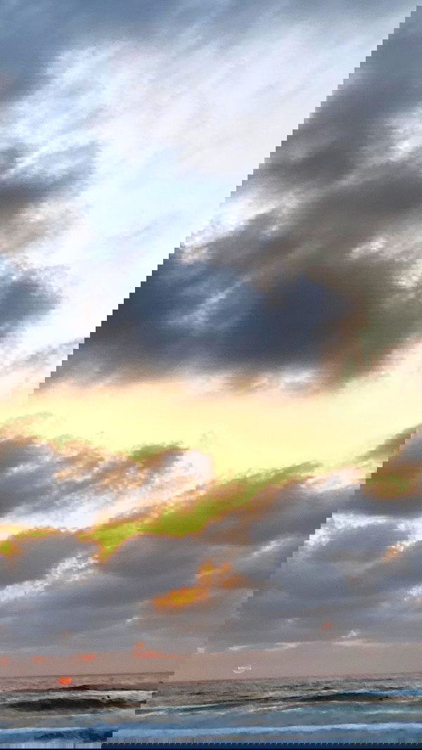 noa_zemlyanski noa_zemlyanski archive image