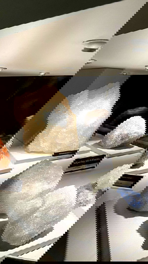 noa_zemlyanski noa_zemlyanski archive image