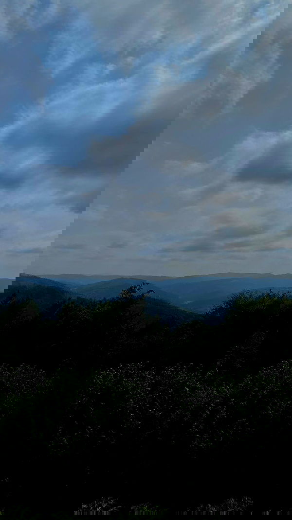 noa_zemlyanski noa_zemlyanski archive image