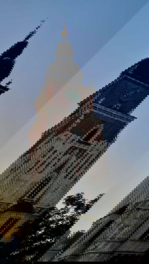 noa_zemlyanski noa_zemlyanski archive image