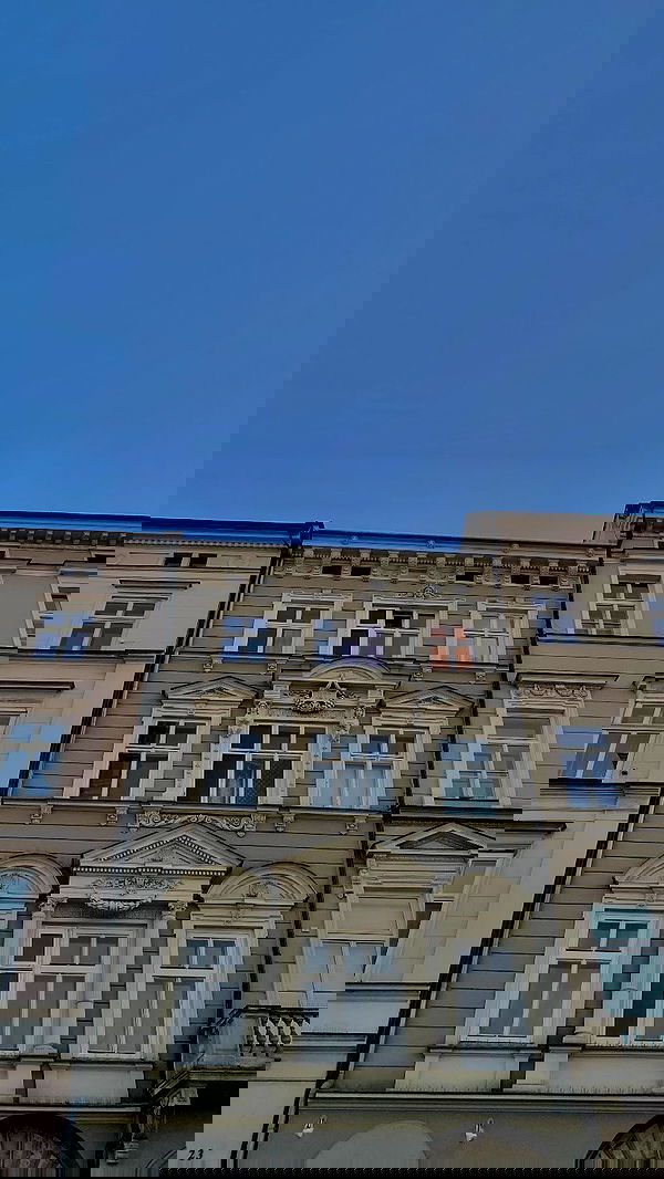 noa_zemlyanski noa_zemlyanski archive image