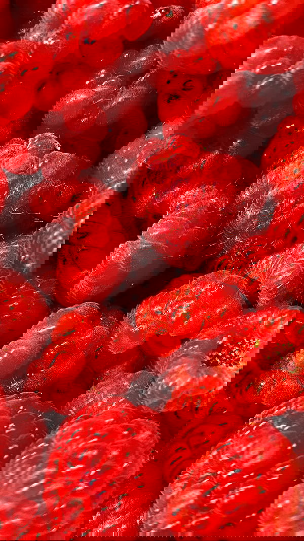 noa_zemlyanski noa_zemlyanski archive image