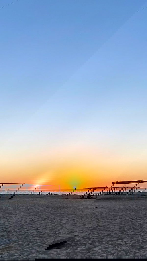 noa_zemlyanski noa_zemlyanski archive image