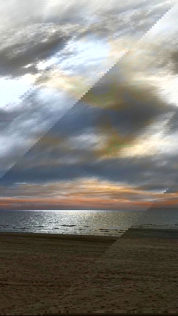 noa_zemlyanski noa_zemlyanski archive image