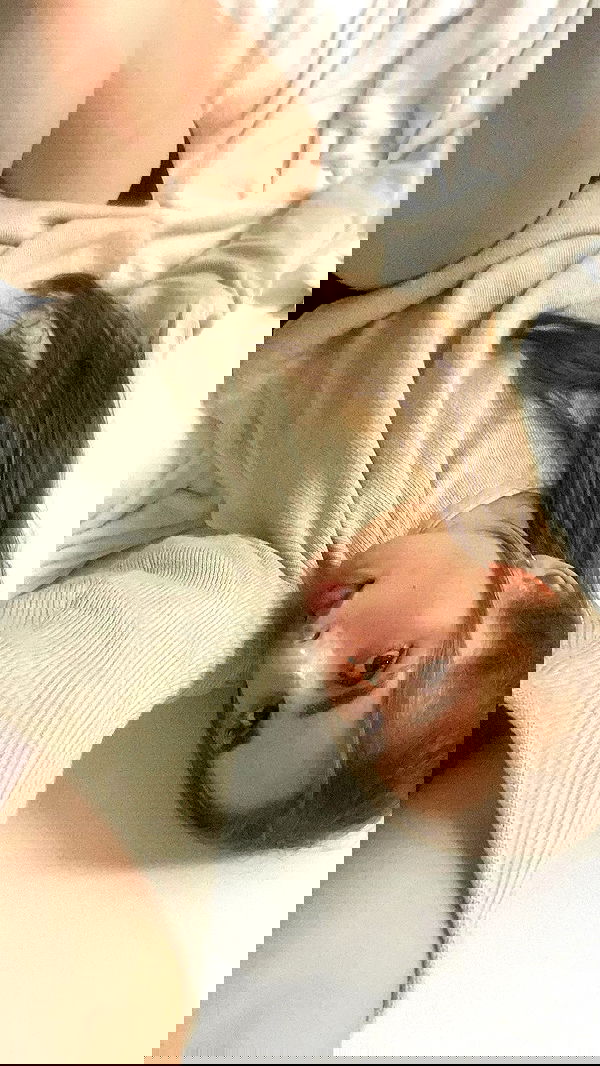 noa_zemlyanski noa_zemlyanski archive image