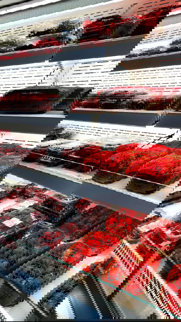 noa_zemlyanski noa_zemlyanski archive image