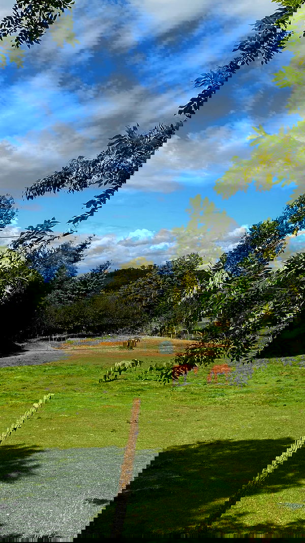 noa_zemlyanski noa_zemlyanski archive image