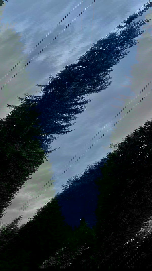 noa_zemlyanski noa_zemlyanski archive image