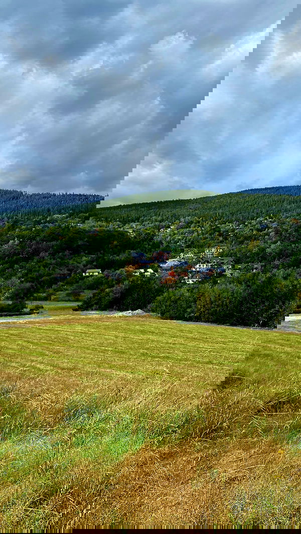 noa_zemlyanski noa_zemlyanski archive image