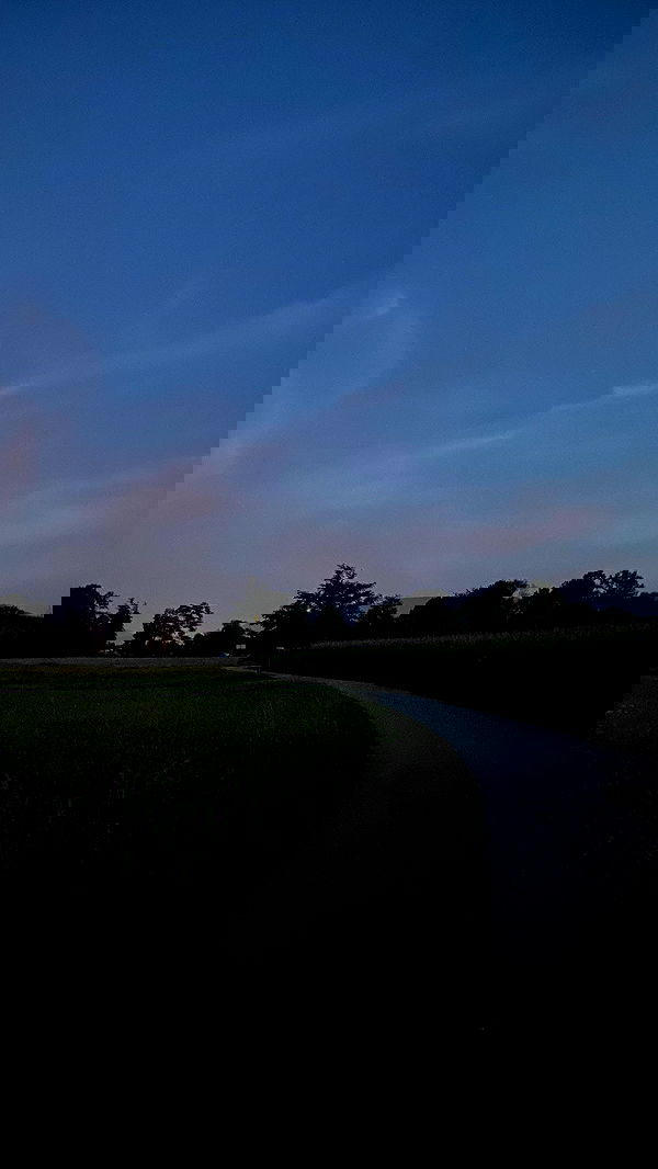 noa_zemlyanski noa_zemlyanski archive image