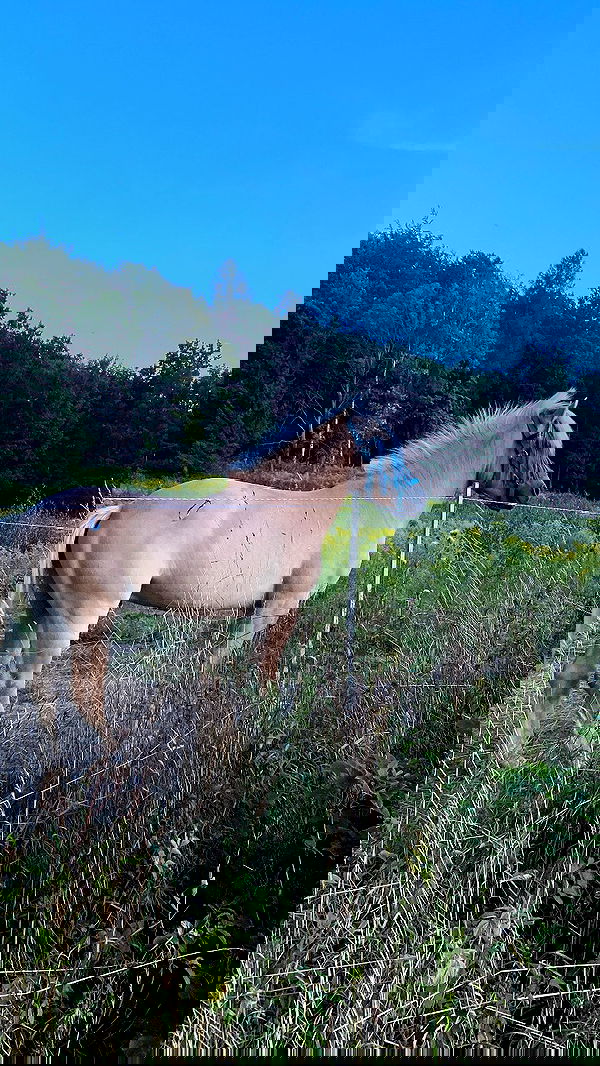 noa_zemlyanski noa_zemlyanski archive image