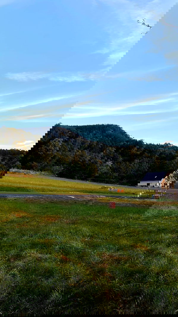 noa_zemlyanski noa_zemlyanski archive image