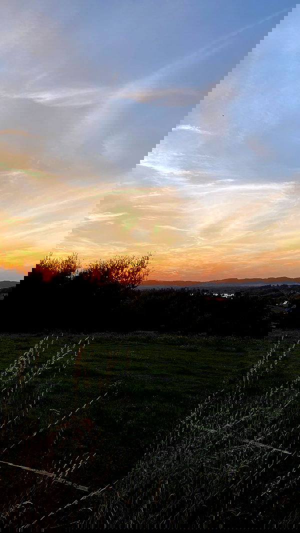 noa_zemlyanski noa_zemlyanski archive image