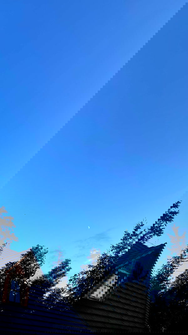 noa_zemlyanski noa_zemlyanski archive image