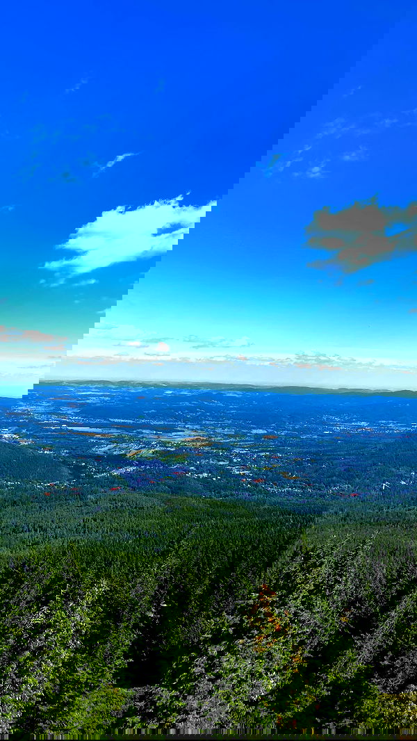 noa_zemlyanski noa_zemlyanski archive image