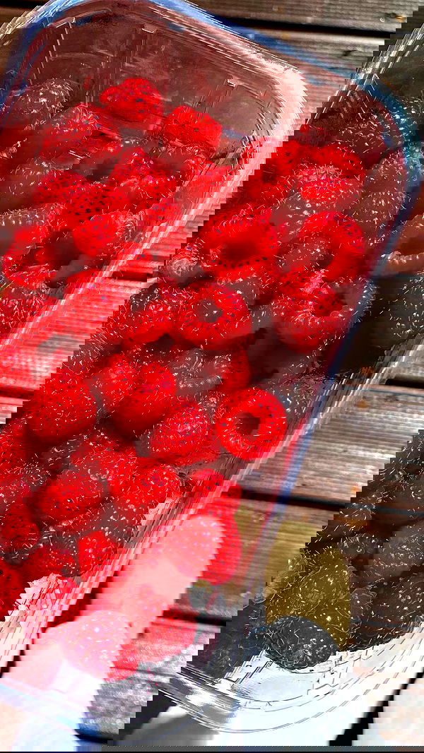 noa_zemlyanski noa_zemlyanski archive image