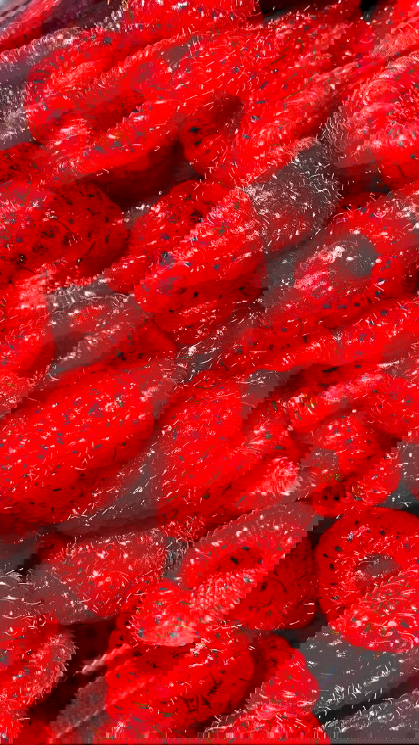 noa_zemlyanski noa_zemlyanski archive image