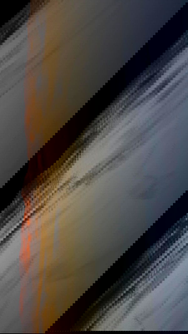 noa_zemlyanski noa_zemlyanski archive image