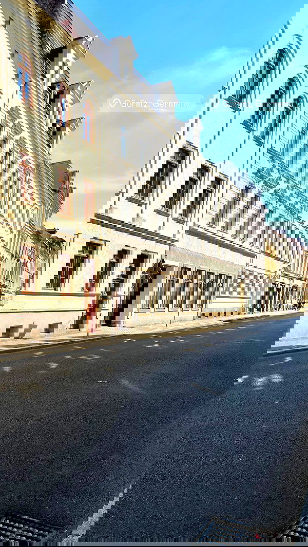 noa_zemlyanski noa_zemlyanski archive image