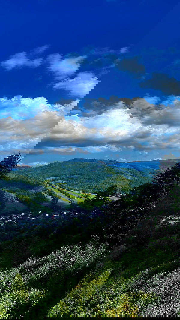 noa_zemlyanski noa_zemlyanski archive image