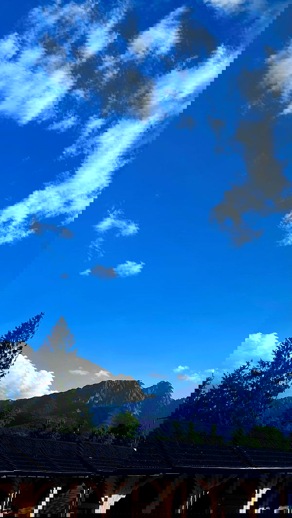 noa_zemlyanski noa_zemlyanski archive image