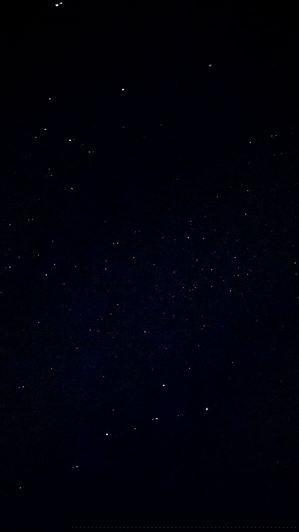 noa_zemlyanski noa_zemlyanski archive image