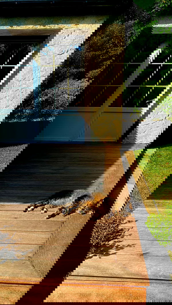 noa_zemlyanski noa_zemlyanski archive image