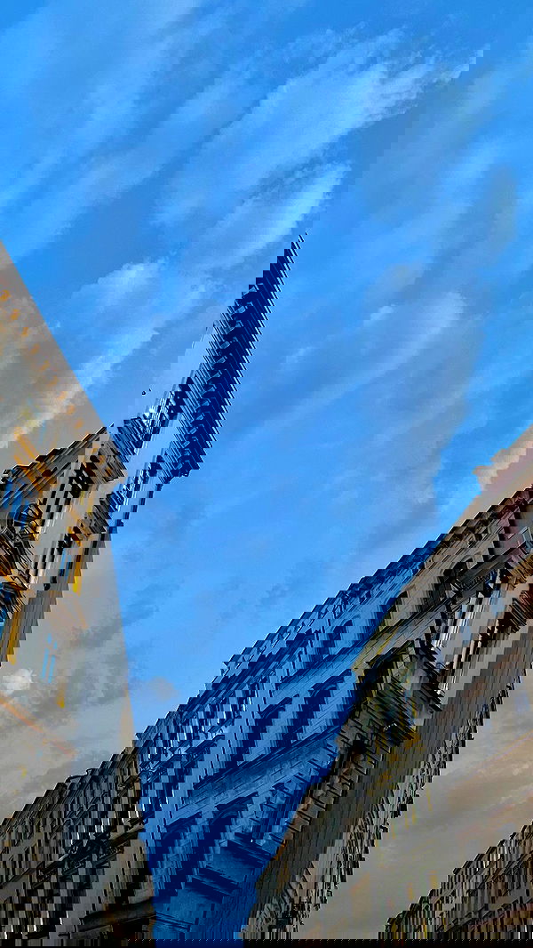 noa_zemlyanski noa_zemlyanski archive image