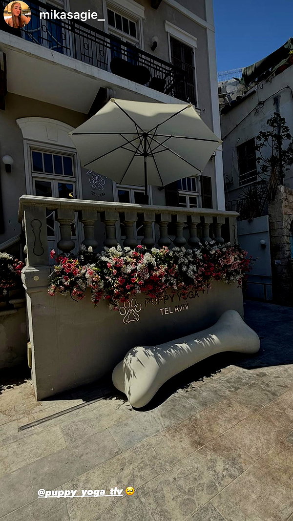 noam.88 instagram image archive image
