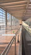noam_alon1 Altpins Profile Picture