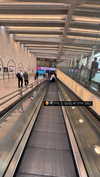 noam_alon1 Altpins Profile Picture