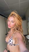 noam_alon1 Altpins Profile Picture