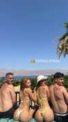 noam_alon1 Altpins Profile Picture